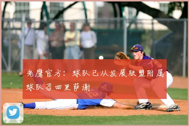 老鹰官方：球队已从发展联盟附属球队召回里萨谢