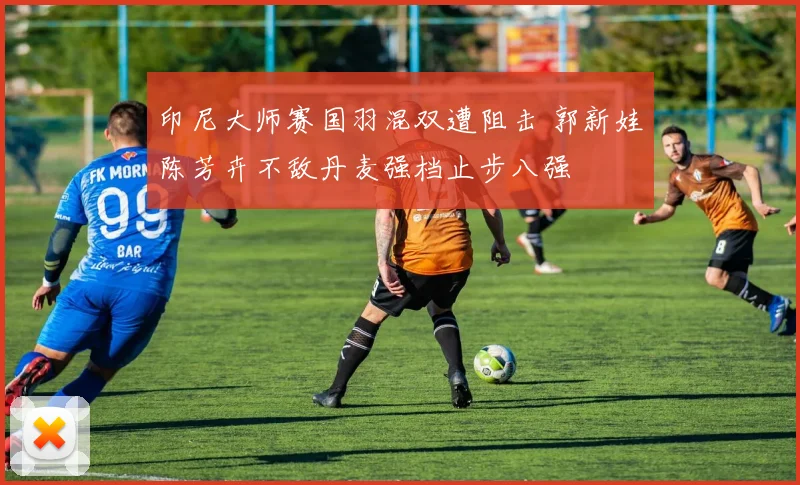 印尼大师赛国羽混双遭阻击 郭新娃陈芳卉不敌丹麦强档止步八强