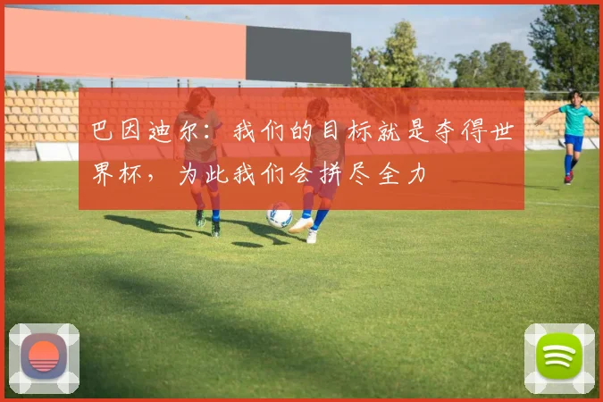 巴因迪尔：我们的目标就是夺得世界杯，为此我们会拼尽全力